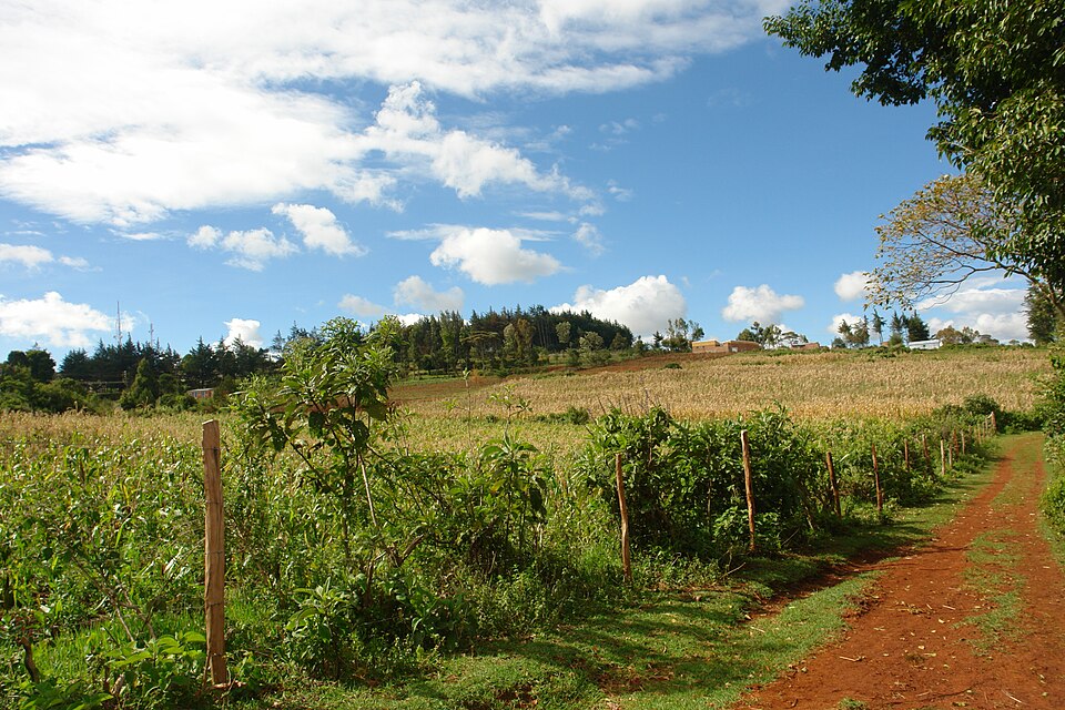 Red dirt road through farmland near Iten, Kenya