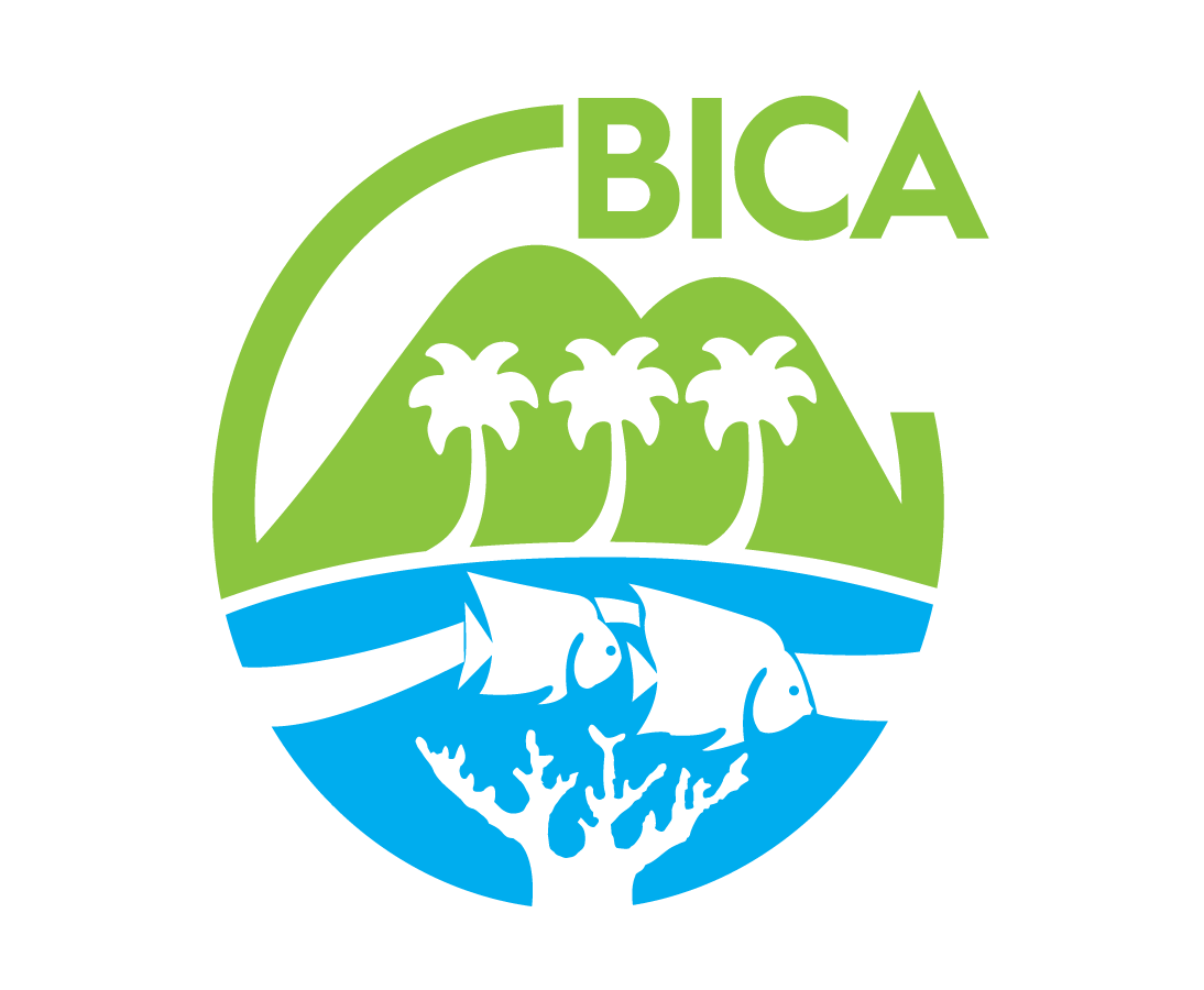 Logo de la fundación BICA